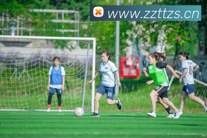 九游j9官方官网发展历程